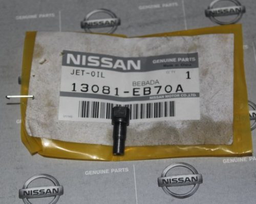 Nissan Navara Yağ Pompa Fiskiyesi 13081-EB70A